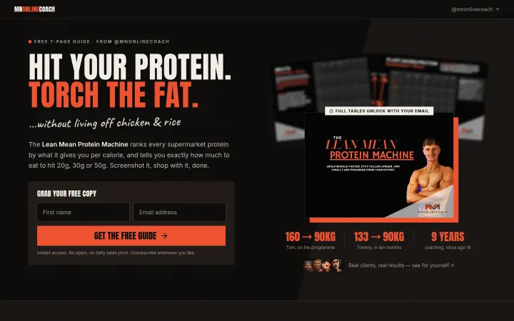 MN Online Coach lead magnet page